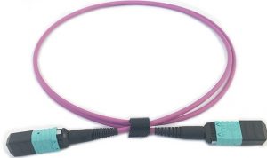 MPO patchcord (Senko MPO-12,Female,OM4 Multimode)